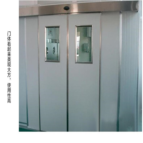 岭东食品厂洁净门